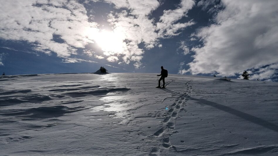 Schneeschuh Wintertour auf die Hirschegger Alm - Touren-Impression #2.6 | © Region Graz