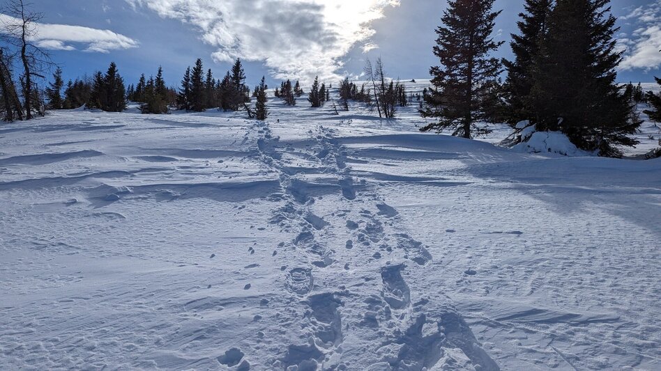 Schneeschuh Wintertour auf die Hirschegger Alm - Touren-Impression #2.7 | © Region Graz