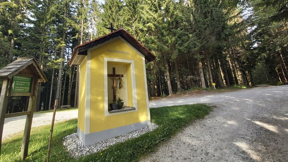 Radfahren Der große Jogl - Gravel Challenge, Birkfeld - Touren-Impression #2.5 | © Oststeiermark Tourismus