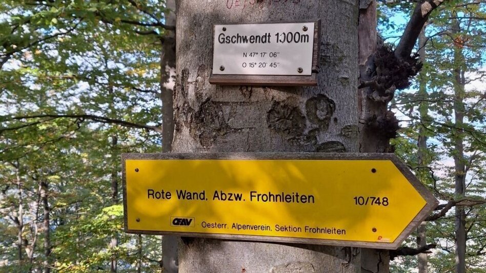 Wanderung Frohnleitner Gschwendtberg - Touren-Impression #2.4 | © Weges OG