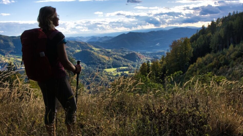 Wanderung Frohnleitner Gschwendtberg - Touren-Impression #2.6 | © Weges OG