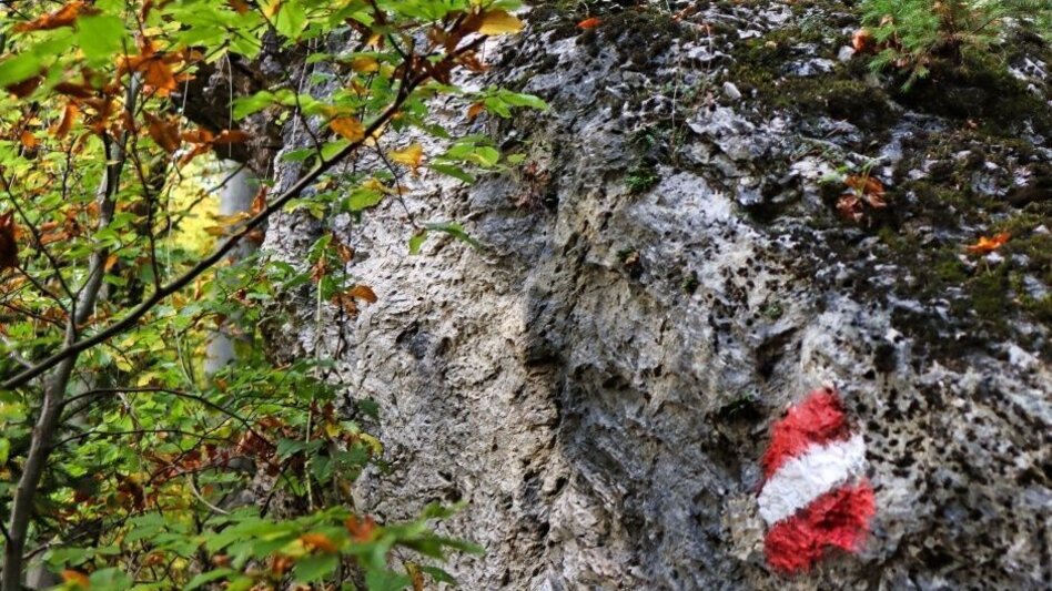 Wanderung Frohnleitner Gschwendtberg - Touren-Impression #2.7 | © Weges OG