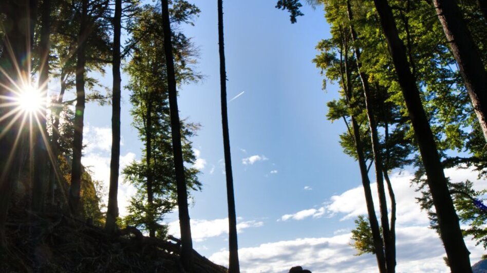 Wanderung Frohnleitner Gschwendtberg - Touren-Impression #2.12 | © Weges OG