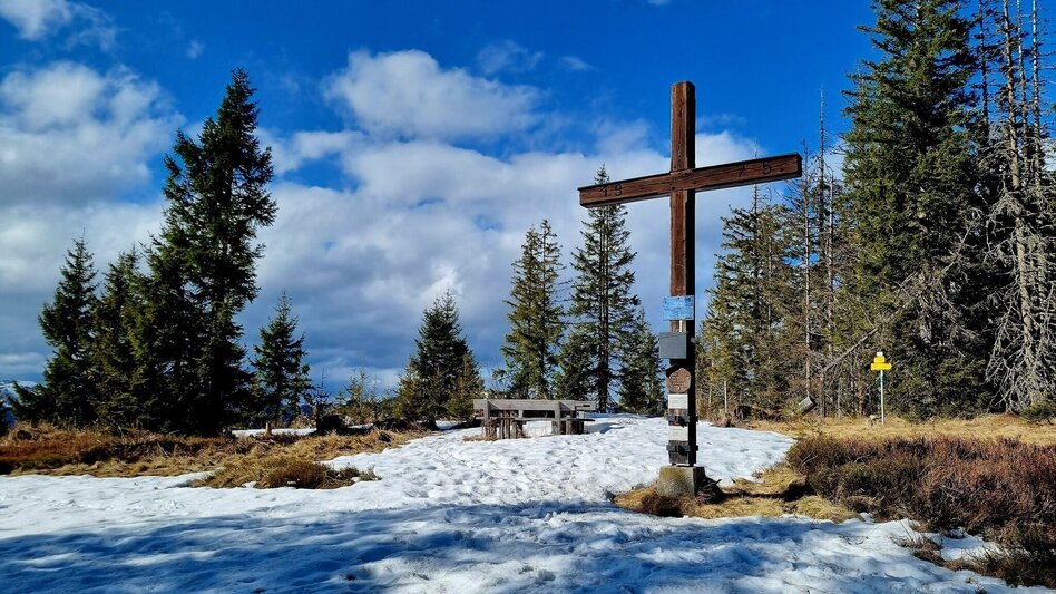 Wanderung Unbekannte Wege auf das Troiseck - Touren-Impression #2.5 | © Hochsteiermark