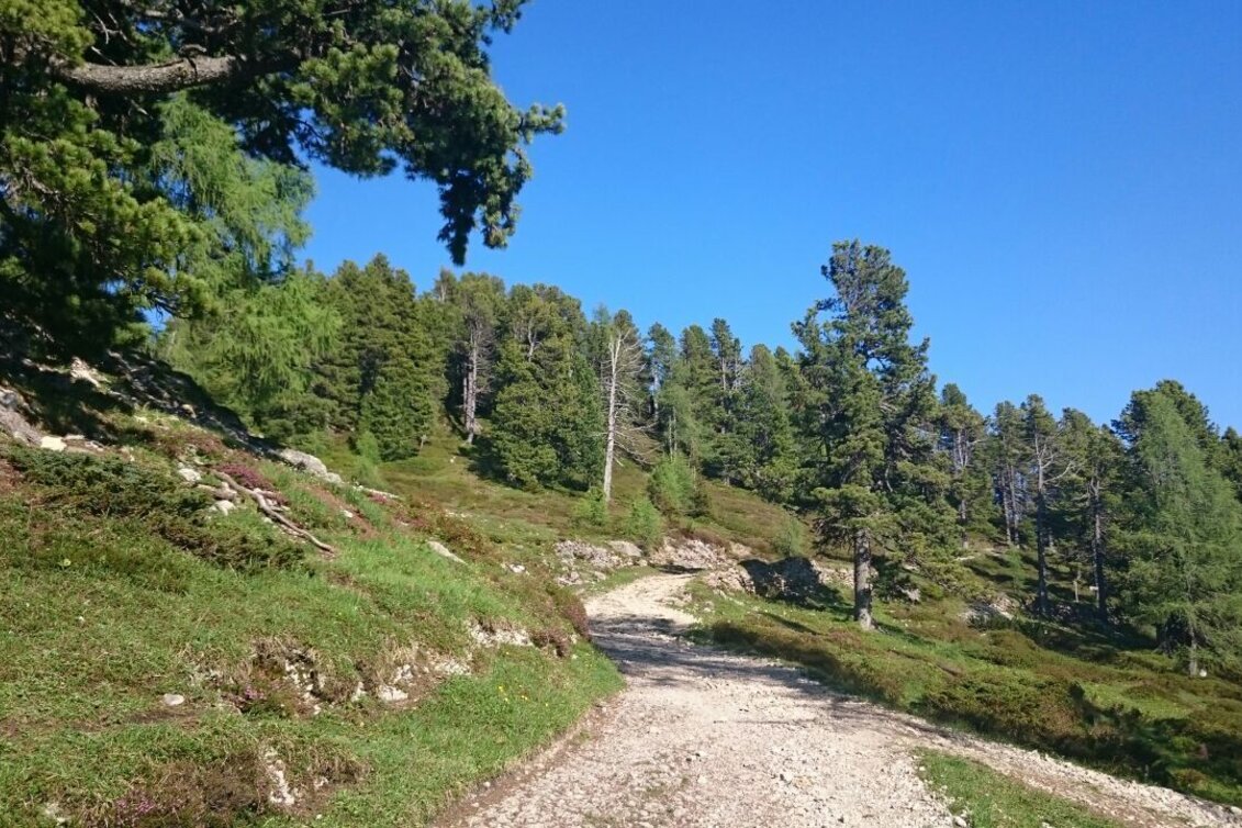 Wanderung Stoderalm-Rundweg zum Gröbminger Blick - Touren-Impression #1 | © Erlebnisregion Schladming-Dachstein