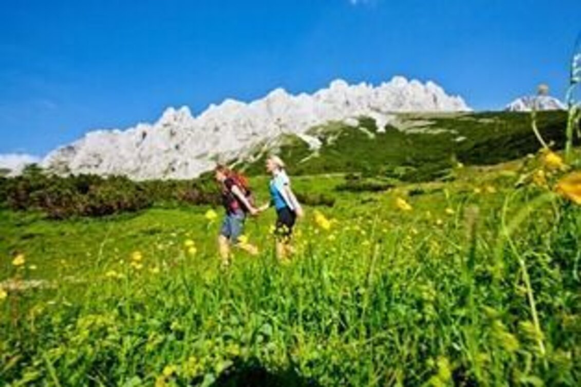 Mountain Hike Fölz-Fölzalm-Voisthalerhütte-Hochschwab - Touren-Impression #1 | © Hochsteiermark