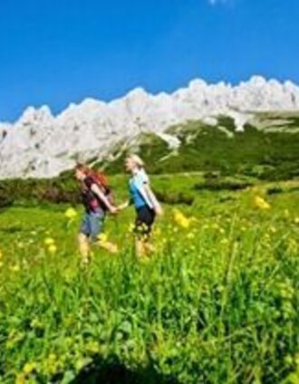 Auf der Fölzalm | Tom Lamm | © Hochsteiermark