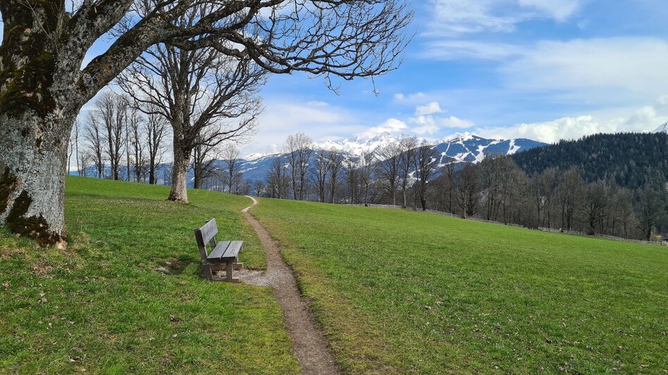 Wanderung Dorfrundweg Ramsau - Touren-Impression #2.8 | © Erlebnisregion Schladming-Dachstein