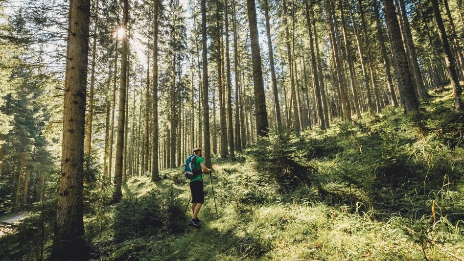 Hiking route Malleistenalm - Hocheck - Touren-Impression #2.1 | © Hochsteiermark