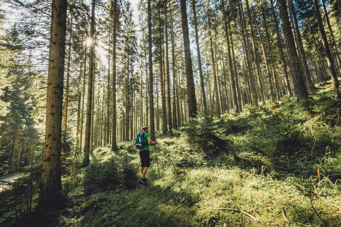 Hiking route Malleistenalm - Hocheck - Touren-Impression #1 | © Hochsteiermark