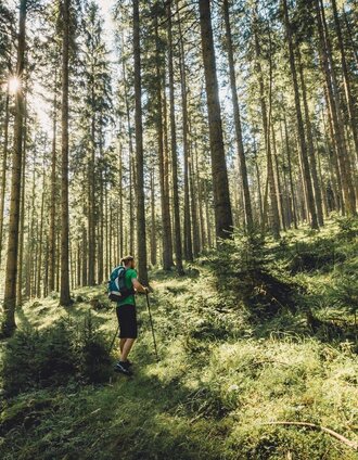 Schöne Waldwege, gute Luft | nicoleseiser.at | © Hochsteiermark