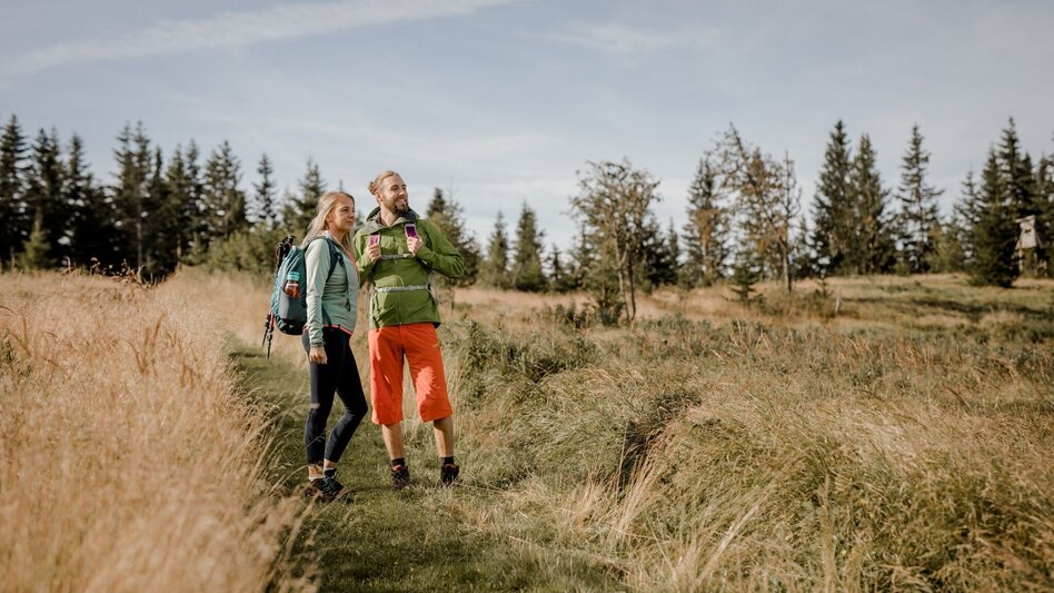 Hiking route Malleistenalm - Hocheck - Touren-Impression #2.2 | © Hochsteiermark