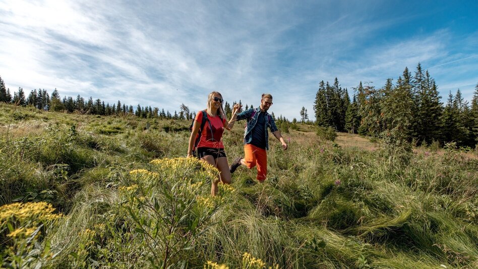 Hiking route Malleistenalm - Hocheck - Touren-Impression #2.3 | © Hochsteiermark