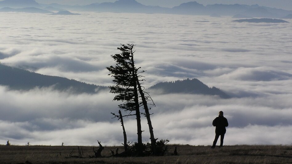 Hiking route Up to the Ganzalm - Touren-Impression #2.1 | © Hochsteiermark