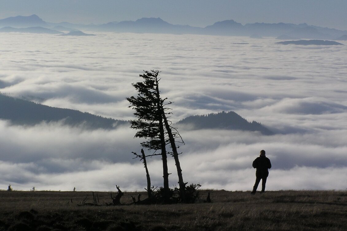 Hiking route Up to the Ganzalm - Touren-Impression #1 | © Hochsteiermark