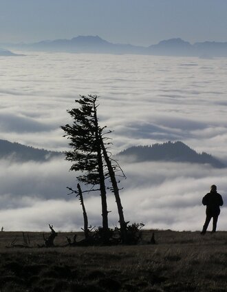 Ausblick von der Pretul | Manfred Polansky | © Hochsteiermark