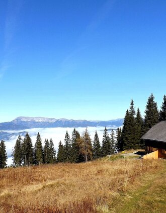 Wittmaierhütte Stanglalm | Steininger | © TV Hochsteiermark