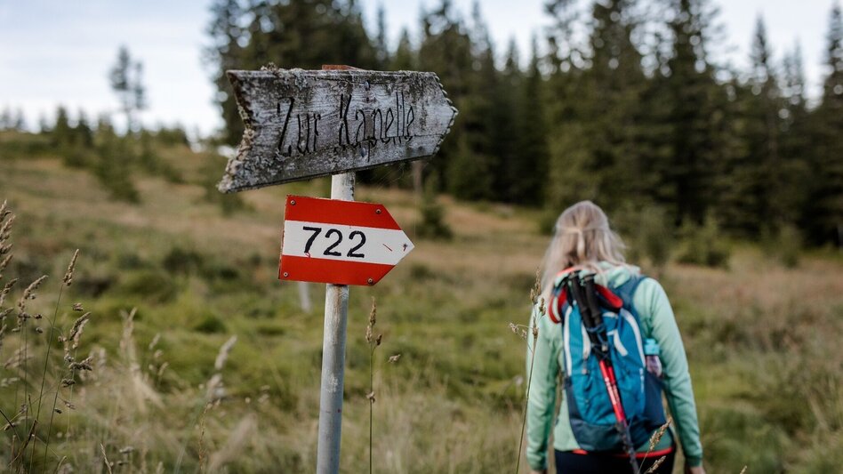 Hiking route From Mitterdorf to the Stanglalm - Touren-Impression #2.2 | © Hochsteiermark