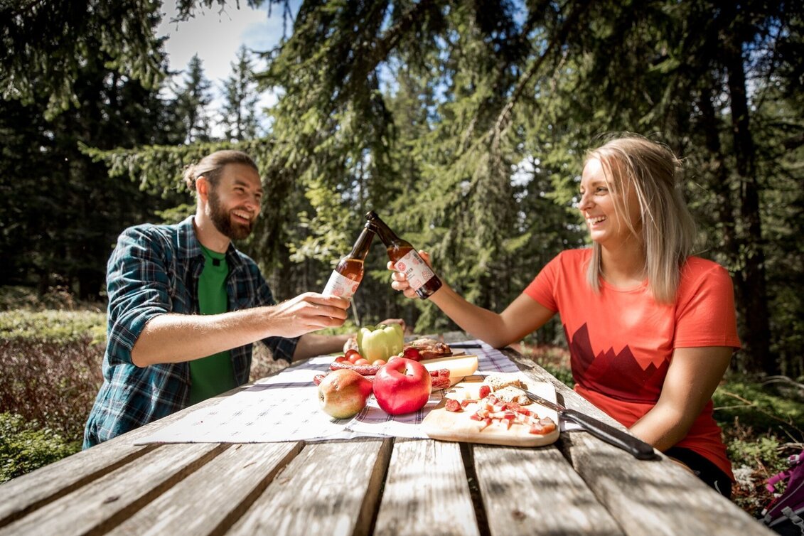 Hiking route From the Turnaueralm to the Rauschkogel - Touren-Impression #1 | © Hochsteiermark