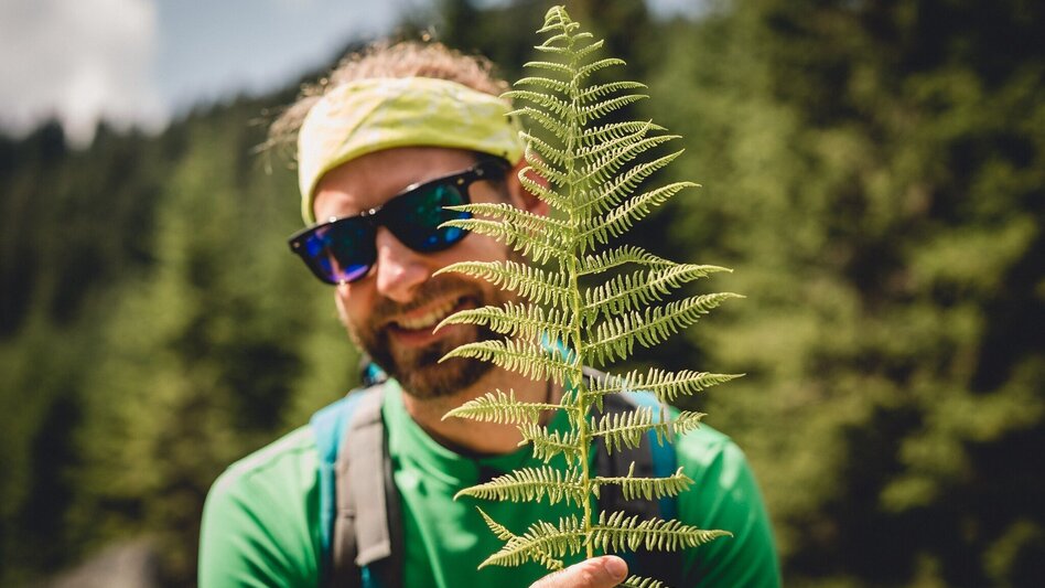 Hiking route From the Turnaueralm to the Rauschkogel - Touren-Impression #2.4 | © Hochsteiermark