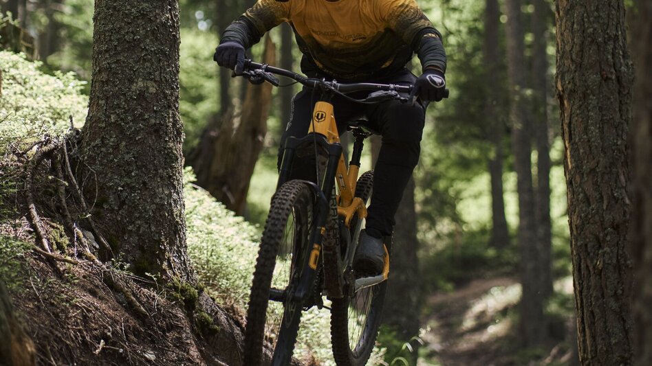 Singletrail Enduro Trail - Reiteralm | 108 - Touren-Impression #2.5