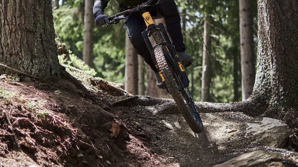 Singletrail Enduro Trail - Reiteralm | 108 - Touren-Impression #2.8