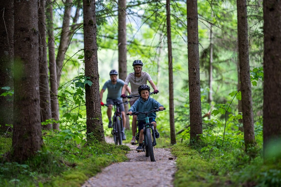 Singletrail Madame Flow Trail | 801 - Touren-Impression #1 | © Erlebnisregion Schladming-Dachstein