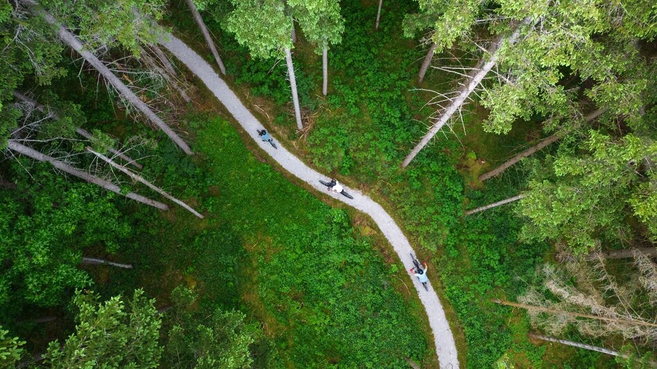 Singletrail 803 Dr. Drop - Touren-Impression #2.1 | © Erlebnisregion Schladming-Dachstein