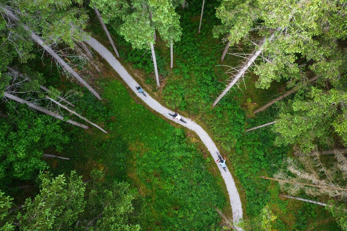 Singletrail 803 Dr. Drop - Touren-Impression #1 | © Erlebnisregion Schladming-Dachstein