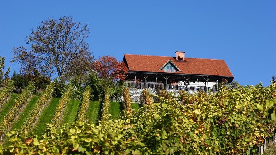 Radfahren Ligister Tour 748 - Touren-Impression #2.7 | © TV Ligist