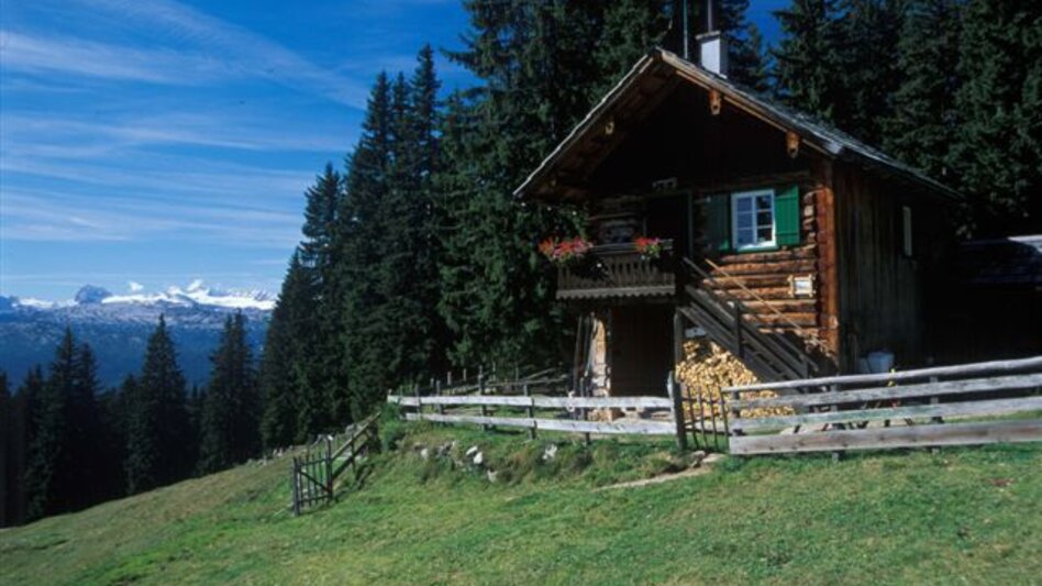 Mountain Biking Seidenhofalm Tour S466 - Touren-Impression #2.1 | © Pirker