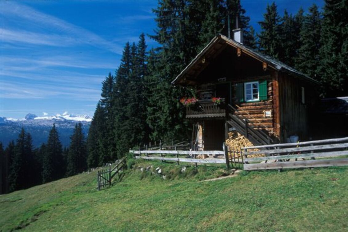 Mountain Biking Seidenhofalm Tour S466 - Touren-Impression #1 | © Pirker