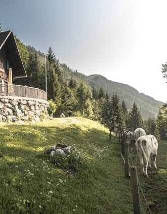 Bergbauern Lackneralm in Palfau | Stefan Leitner | © TV Gesäuse