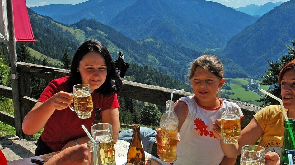 Hiking route Hiking tour via the Naturfreundehütte and Moaralm Palfau - Touren-Impression #2.4 | © TV Gesäuse
