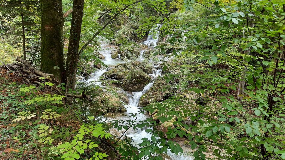 Hiking route Through the Bärenschützklamm from Mixnitz - Touren-Impression #2.11 | © Oststeiermark Tourismus