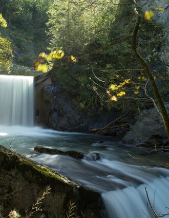Talbachklamm mit Wehrmauer | Gerhard Pilz | © Harald Steiner - Foto MOOM