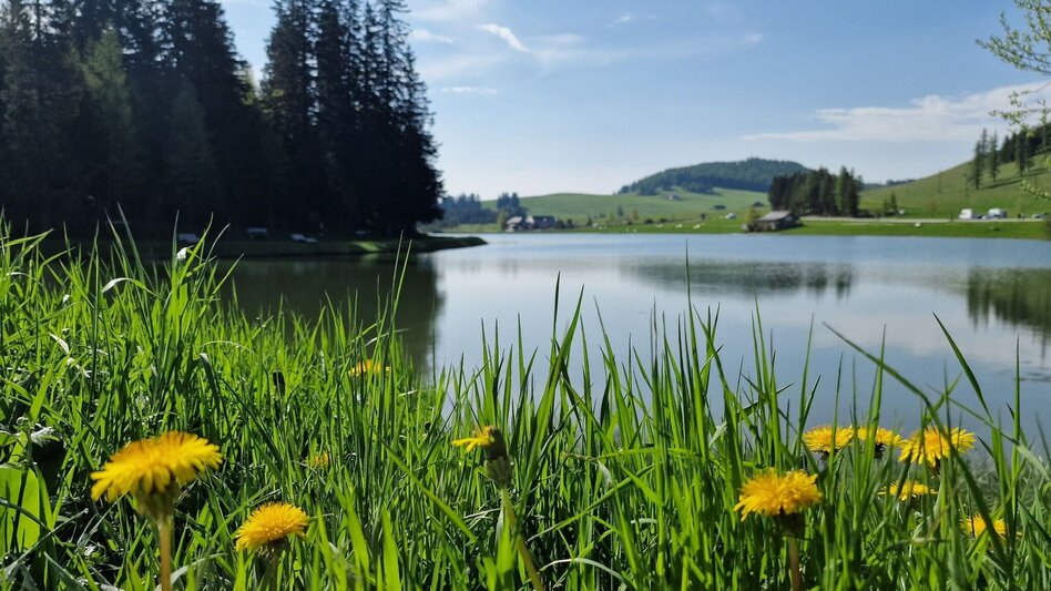 Wanderung Bärenschützklamm-Runde, Teichalm - Touren-Impression #2.2 | © Oststeiermark Tourismus