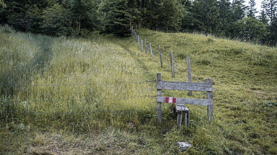 Wanderung Jagerbichl-Brandangeralm-Runde - Touren-Impression #2.3 | © Erlebnisregion Schladming-Dachstein