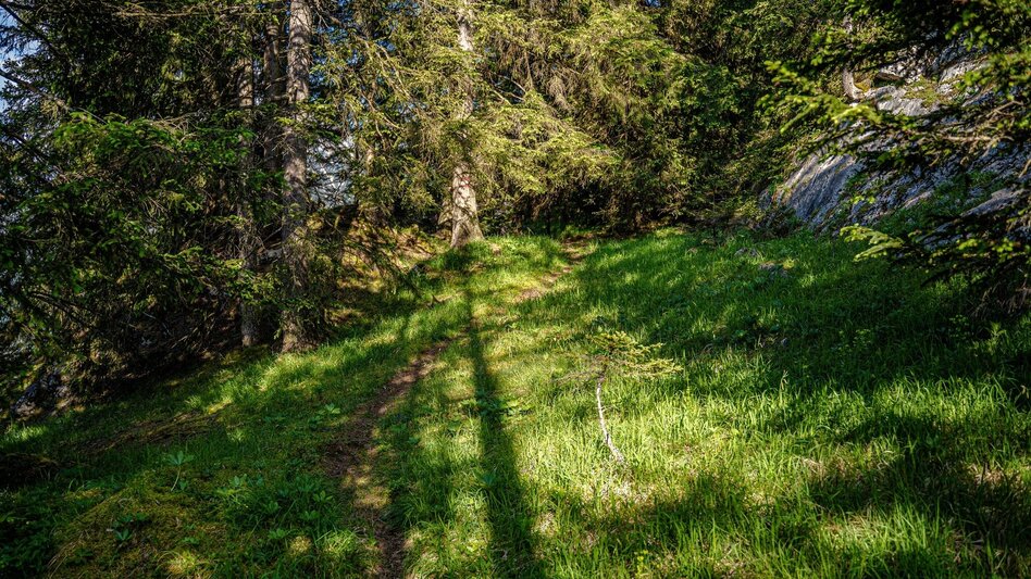 Wanderung Jagerbichl-Brandangeralm-Runde - Touren-Impression #2.7 | © Erlebnisregion Schladming-Dachstein