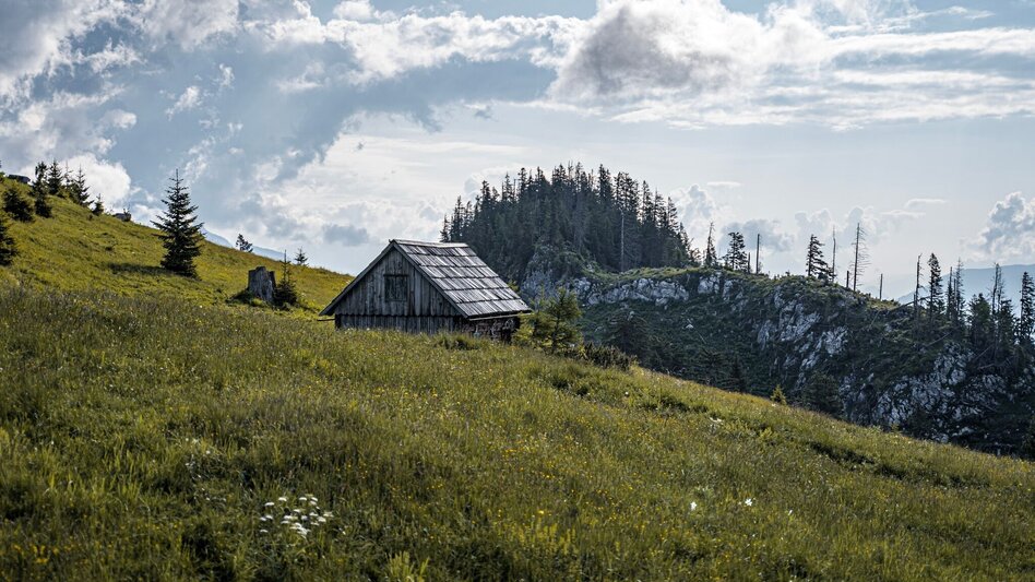 Wanderung Jagerbichl-Brandangeralm-Runde - Touren-Impression #2.11 | © Erlebnisregion Schladming-Dachstein