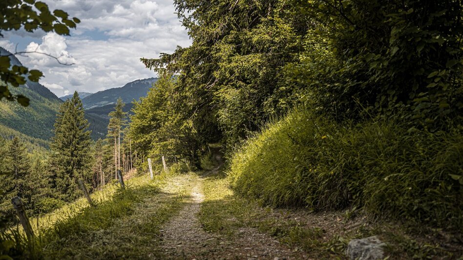 Wanderung Gindlhorn & Marterlweg ab Pürgg - Touren-Impression #2.14 | © Erlebnisregion Schladming-Dachstein