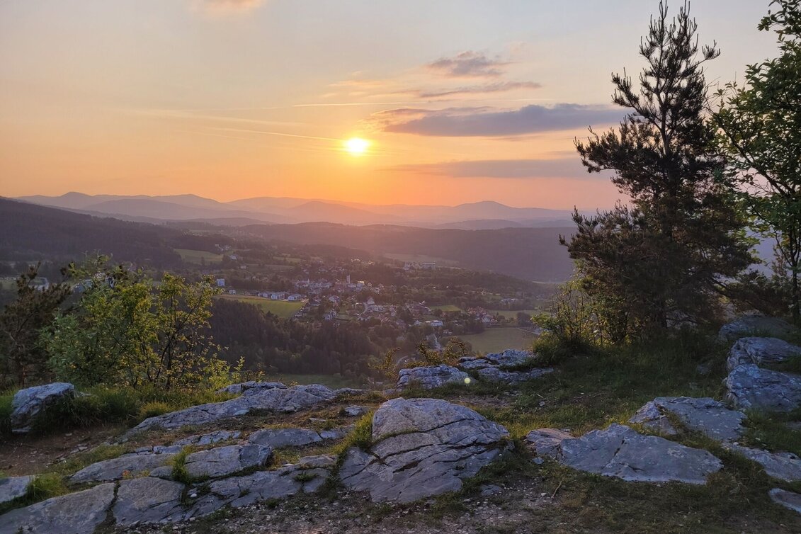 Hiking route Dr. Hans Fuchs Waldweg - Touren-Impression #1 | © Region Graz