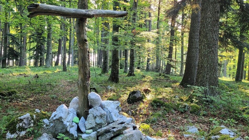 Hiking route Dr. Hans Fuchs Waldweg - Touren-Impression #2.6 | © Region Graz