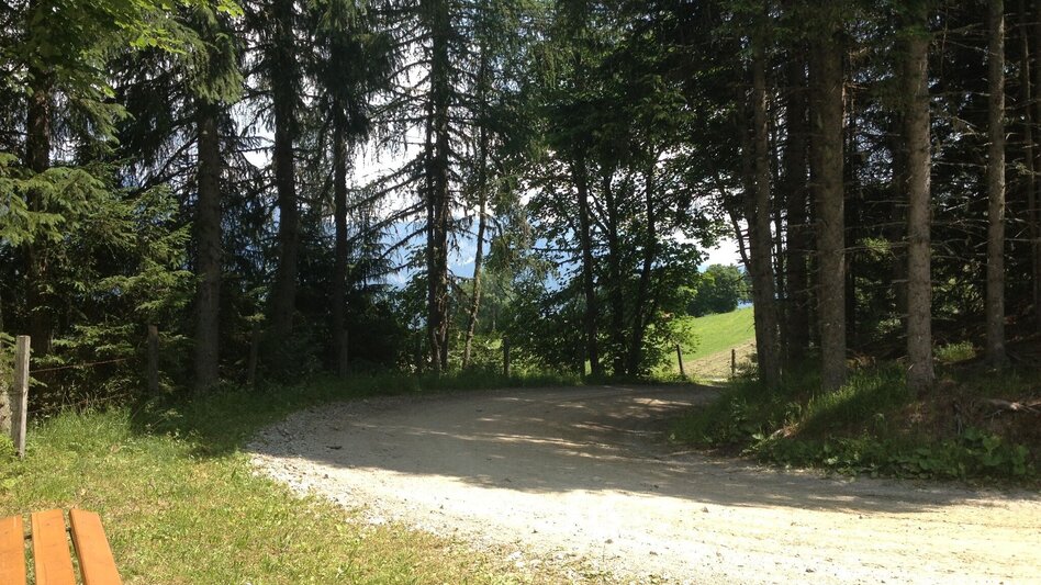 Hiking route The Small Evening Tour - Touren-Impression #2.2 | © Gerhard Pilz