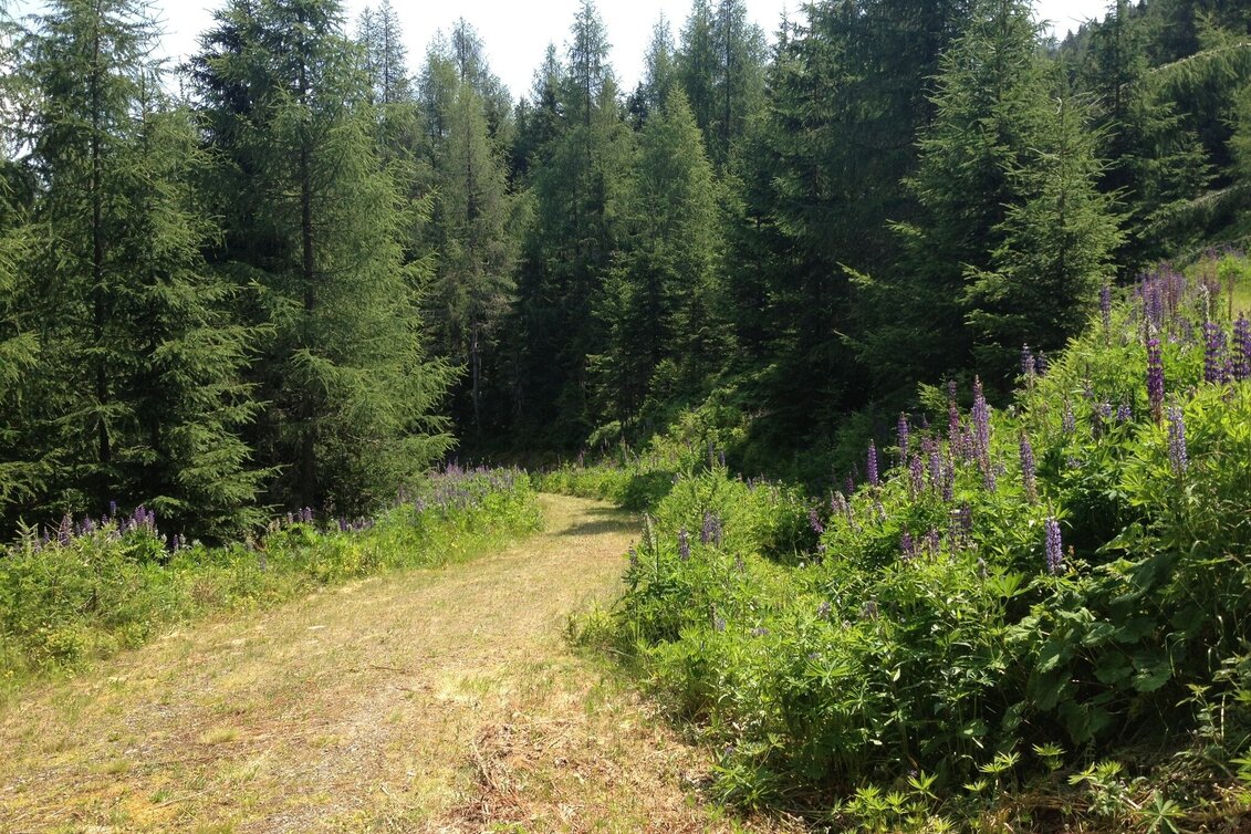 Hiking route The Small Evening Tour - Touren-Impression #1 | © Gerhard Pilz