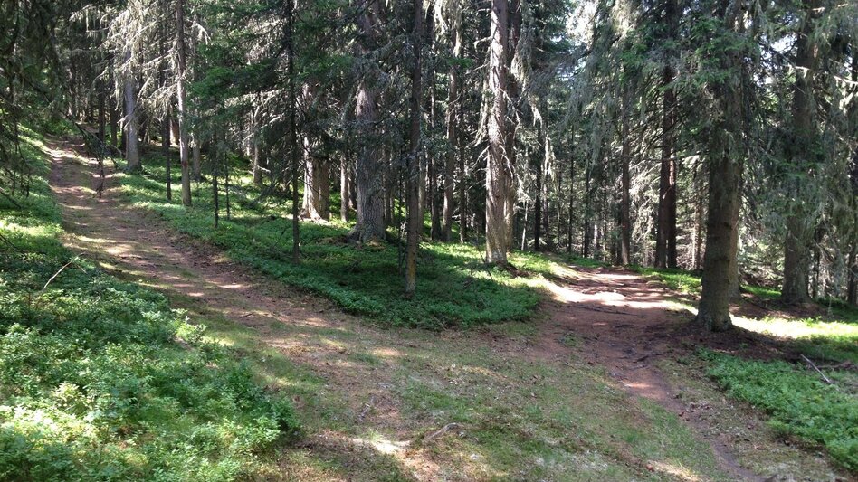Hiking route The Small Evening Tour - Touren-Impression #2.3 | © Gerhard Pilz