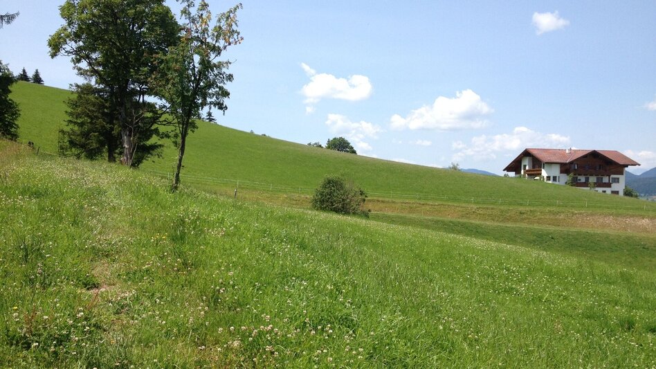 Hiking route The Small Evening Tour - Touren-Impression #2.4 | © Gerhard Pilz
