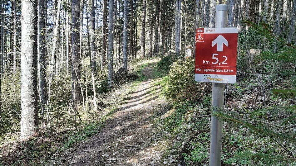Mountain Biking Schwabenbergarena Turnau to the Reservoir Pond - Touren-Impression #2.2 | © Hochsteiermark