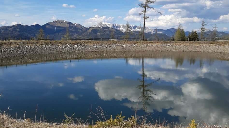 Mountain Biking Schwabenbergarena Turnau to the Reservoir Pond - Touren-Impression #2.3 | © Hochsteiermark