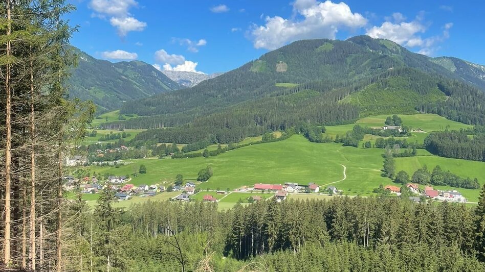 Mountain Biking Schwabenbergarena Turnau to the Reservoir Pond - Touren-Impression #2.5 | © Hochsteiermark